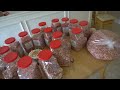 3 Million Sprinkles On A Cake Just About 3 Million Sprinkles On A Cake Just About