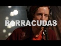 The Devil Whale - Barracudas (Live On KEXP)