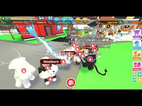I met 2 youtubers in Adopt Me! Black.stxrs and Faded Playz!