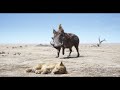 The Lion King - "We’re Gonna Name Him Fred" Clip