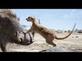 The Lion King - "We’re Gonna Name Him Fred" Clip