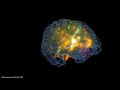 Glass brain flythrough - Gazzaleylab / SCCN / Neuroscapelab