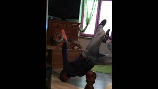 Gitan Qui Danse