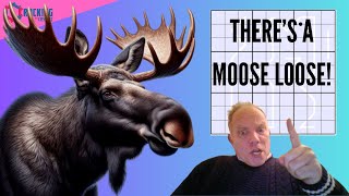 A Moose Is On The Loose