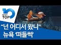 Download “넌 어디서 왔니”…뉴욕 ‘떠들썩’ “넌 어디서 왔니”…뉴욕 ‘떠들썩’