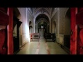 Peter Benisch - Without (Unreleased)