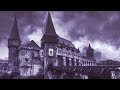 Night Crowned - Unholy Path (Official Lyric Video)