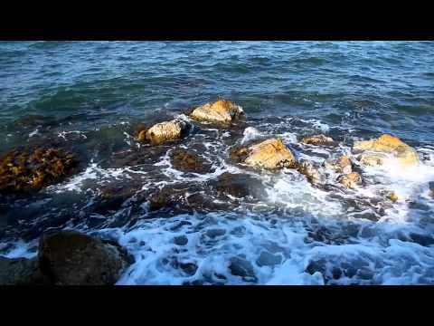 ловля в черном море с волнорезов ловля во черном серам со волнорезов