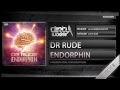 Dr Rude - Endorphin (Official HQ Preview)