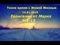 Тихое время с Живой Жизнью: от Марка 6:1–13 (14012019)