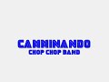 Camminando (Live Track) Video preview