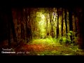 Orchestronic - "woodland"
