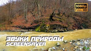 Живая Природа - Река | Звуки Природы | Звуки Реки | Шум Воды | Релаксация | Белый Шум | Заставка Тв