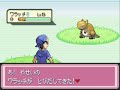 Pokemon: Procyon and Deneb - Wild Battle