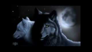 Watch Lefay Moonlit Night video
