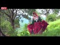 Khinnua Song by Rumail Singh | Popular Himachali Song 2018 - Mera Khinnu Bada Ustad