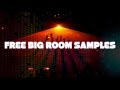 FREE Big Room Samples ! More than 118 Drums, Basslines. Leads, Loops,...