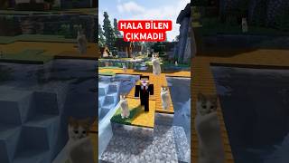 %99U Bu Minecraft Testinde Yanılıyor Kaç Kedi Sayabildin?