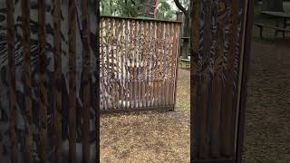 Optical Illusion Art At The Central Florida Zoo In Sanford Florida