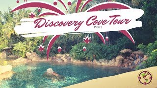 Discovery Cove Cove Part Two