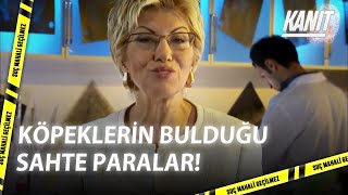 Sahte Parayı Bulan Köpekler - Kanıt 10.Bölüm