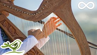 Relaxing Harp Music: Sleep Music, Meditation Music, Spa Music, Instrumental Back