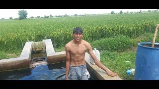 My First Vlog Swimming In Tubewell Water Pool In Village Tube Well Water Fun By Boys