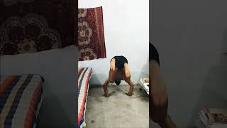 Handstand