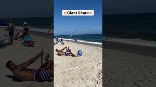 Giant Shark