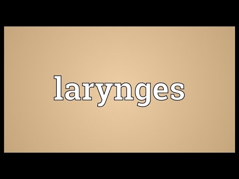 Header of larynges
