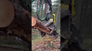“Reliability In The Forest:john Deere 1270G Harvester Getting The Job Done”#Johndeere #Tree  #Viral