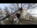 How Not To Use A Bucket Truck