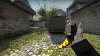Csgo Karambit Tiger Tooth Factory New Skin Showcase
