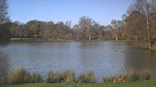 Art Of Landscape 12 Peaceful Relaxing Free Video Footage Hd