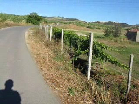 são julião do tojal videos de orgias são julião do tojal videos de orgias