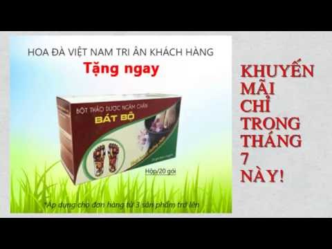 Thảo dược Dạ Dày Hoa Đà | Chữa đau dạ dày | Phân phối Always