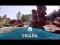 Piraña - Efteling Onride Piraña - Efteling Onride