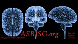 Our Website Update - ASBISG.org Tuesday Brain Injury Support Conference Call