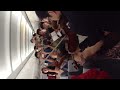 orchestra