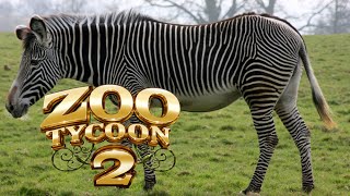 Zoo Ty 2 Grévys Zebra Exhibit Speed Build