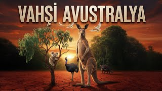 Vahşi Avustralya Kanguru, Koala, Tazmanya Canavarı Ve Efsanevi Türler Tam Belgesel