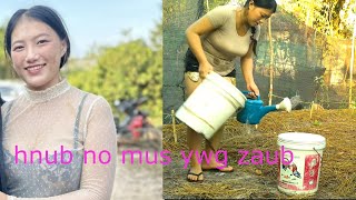 Maiv Kawm Muas Coj Peb Mus Ywg Zaub