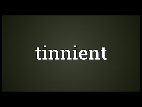 Header of tinnient