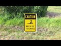 Review Apollo Bay To Elliots Ridge Hike 1st Leg Great Review Apollo Bay To Elliots Ridge Hike 1st Leg Great