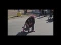 Cumbia Duranguense 2