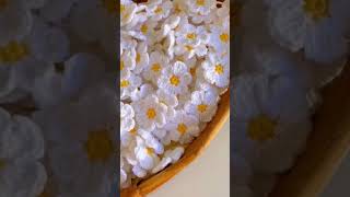 Flores Margaritas