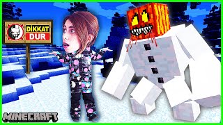 MİNECRAFT HAYATTA KALMA MİNECRAFT FİLMİ SNOWSNOW OYUN KENT