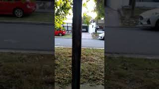 Respond View 2 Reja