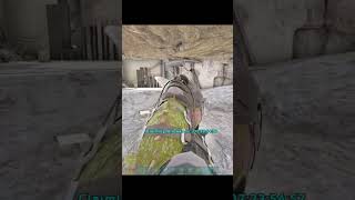 1V1 Giga Fight For The Raid - Ark