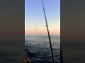 OKUMA G-FORCE SPIN KAMIŞ 2,70 7-35 atar ,KENDO RAPALA VE KENDO 250m 8 ÖRGÜ İP MİSİNA #4 OKUMA G-FORCE SPIN KAMIŞ 2,70 7-35 atar ,KENDO RAPALA VE KENDO 250m 8 ÖRGÜ İP MİSİNA #4